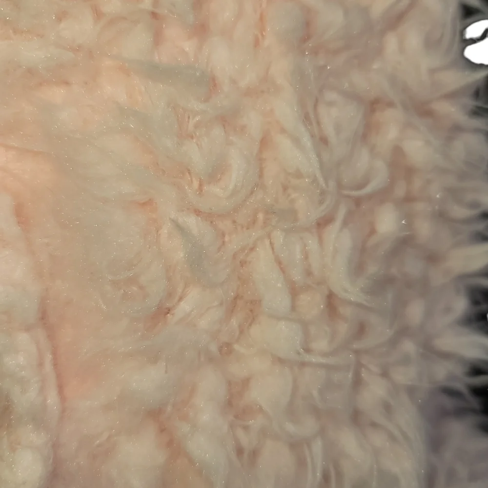 TUTU and Vest Bundle